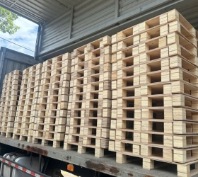 pallet gỗ chơn thành