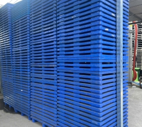 pallet nhựa long an