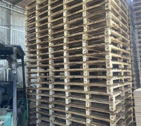 pallet gỗ tràm tân uyên giá rẻ