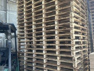 Pallet giá rẻ Bến Cát đang được nhiều doanh nghiệp quan tâm