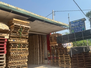  Dịch vụ Đóng Pallet Gỗ Theo Yêu Cầu chất lượng cao tại Tân Uyên, Bình Dương - Công ty Pallet Minh Phan