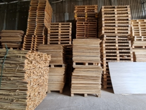 album 01 (1) (1) (1) (1) (1)